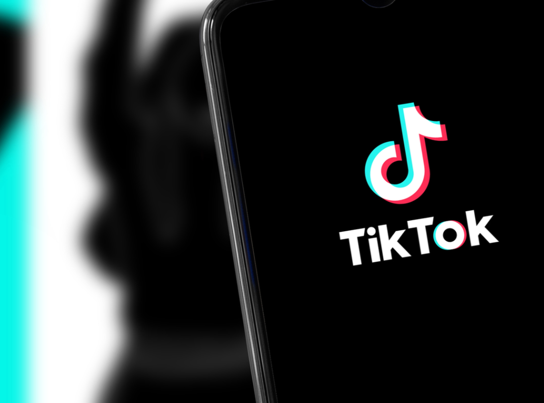 The Complete Guide to TikTok Advertising - Vertical Institute