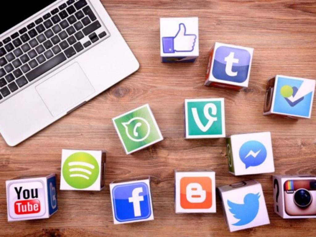 Paid vs Organic Social Media - Vertical Institute
