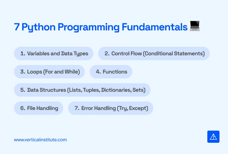 Fundamentals of Python Programming - Vertical Institute