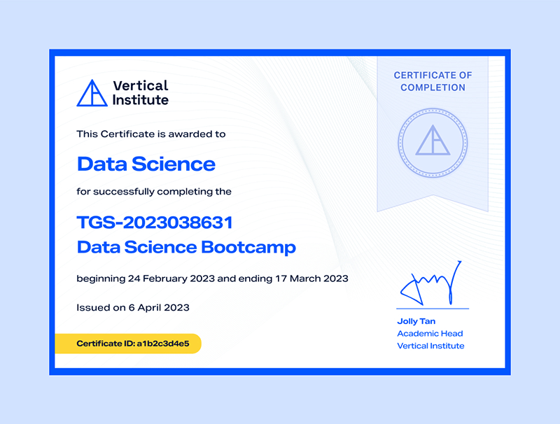 Data Science and AI Bootcamp Certificate Vertical Institute