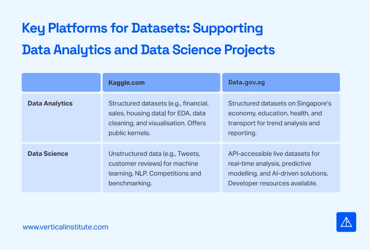 Datasets for Data Science Projects - Vertical Institute