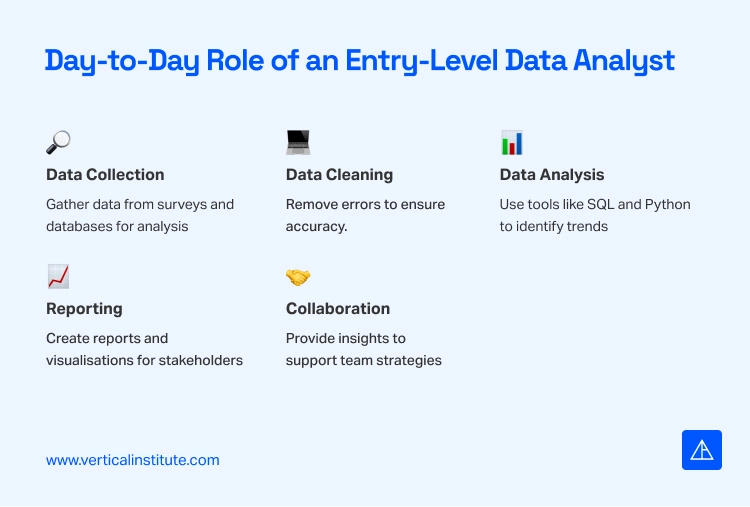 Day to Day Role of an Entry Level Data Analyst Vertical Institute