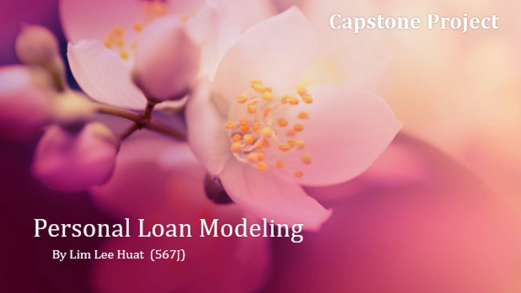 Personal Loan Modeling Capstone Project Vertical Institute